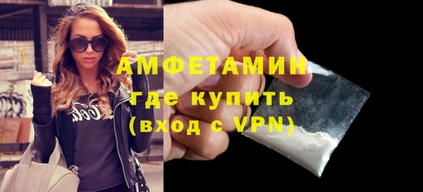 крисы Кулебаки