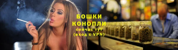 крисы Кулебаки