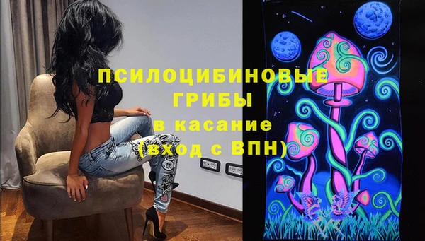 ECSTASY Кукмор