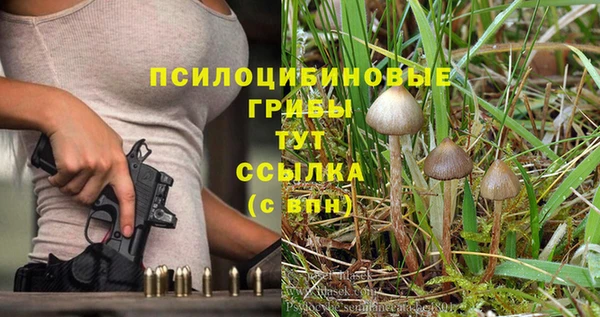 ПСИЛОЦИБИНОВЫЕ ГРИБЫ Куйбышев