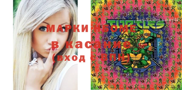 крисы Кулебаки